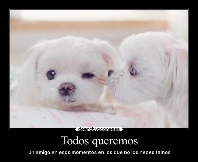 carteles todos queremos desmotivaciones