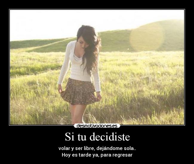 Si tu decidiste - volar y ser libre, dejándome sola..
Hoy es tarde ya, para regresar