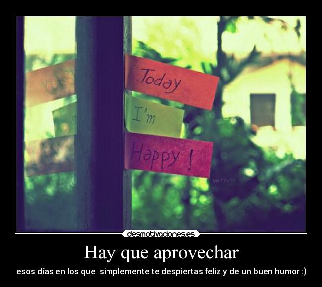 Hay que aprovechar - 