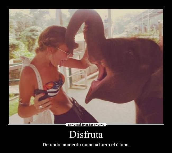 Disfruta - De cada momento como si fuera el último.