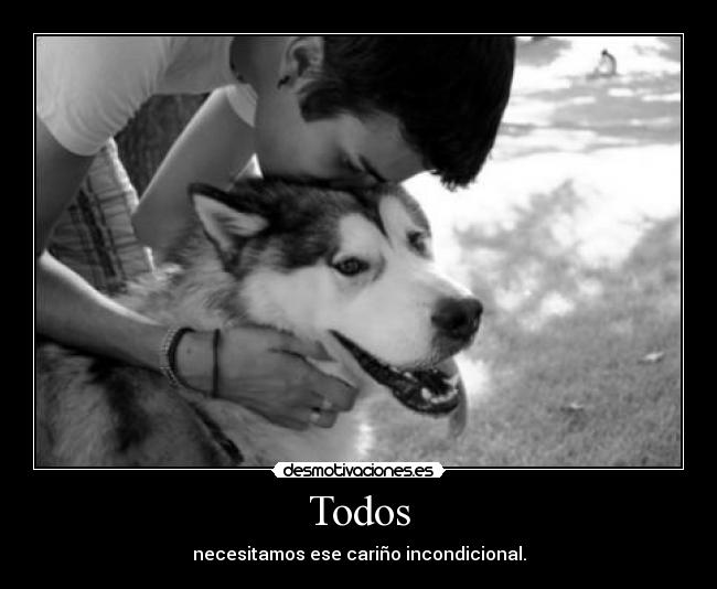 Todos - 