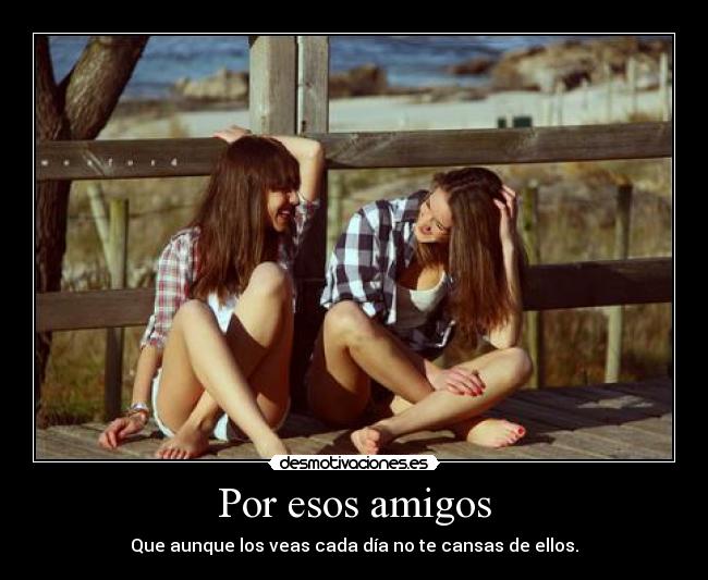 carteles amigos le_mu bururu desmotivaciones