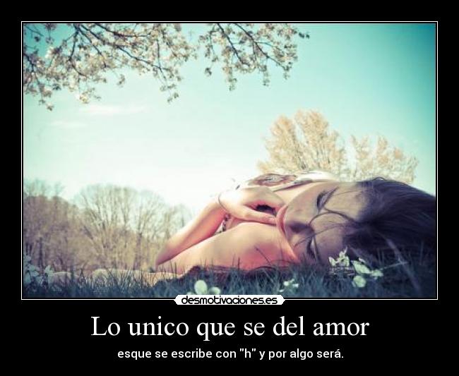Lo unico que se del amor -