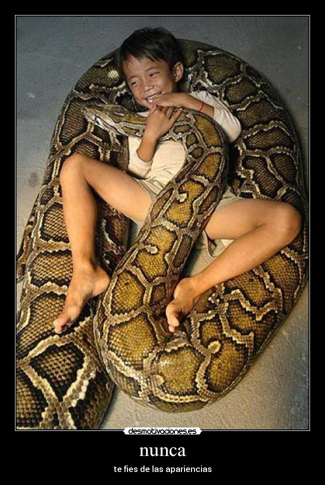 carteles aburro desmotivaciones