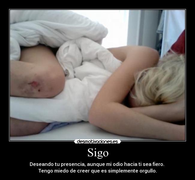 Sigo - 