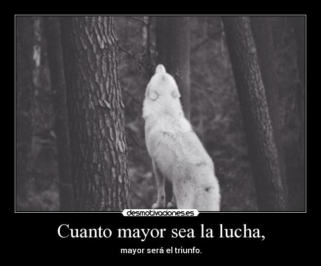 Cuanto mayor sea la lucha, - mayor será el triunfo.