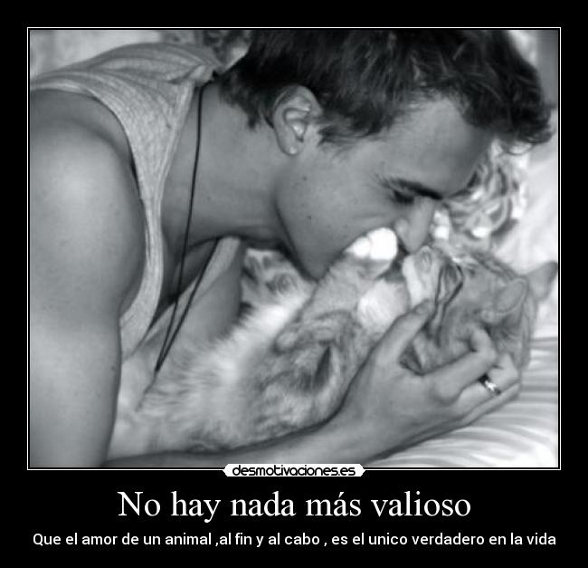 No hay nada más valioso - Que el amor de un animal ,al fin y al cabo , es el unico verdadero en la vida
