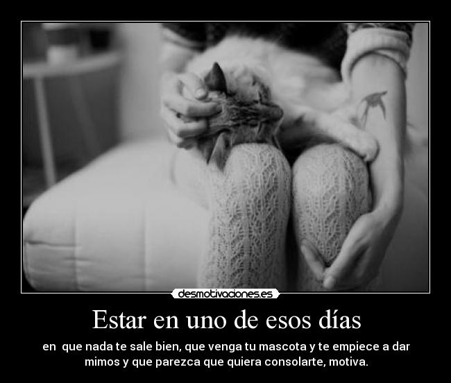 Estar en uno de esos días - en que nada te sale bien, que venga tu mascota y te empiece a dar
mimos y que parezca que quiera consolarte, motiva.