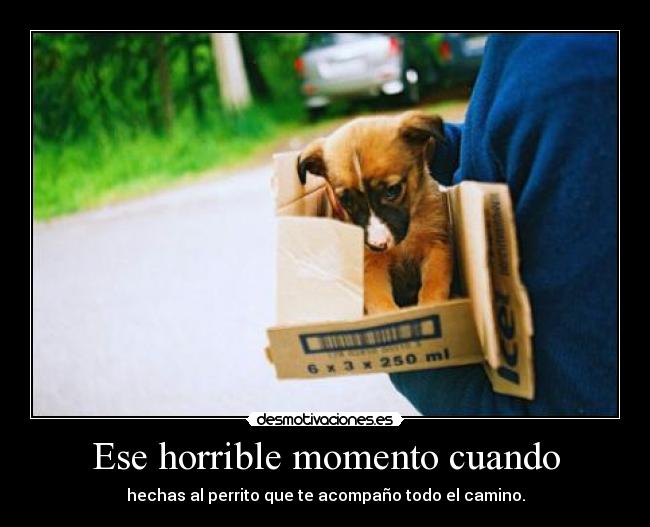 Ese horrible momento cuando -