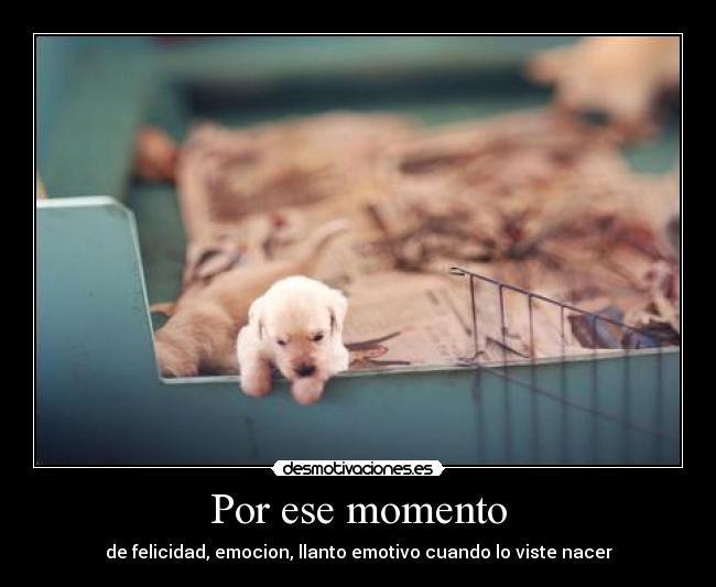 Por ese momento - 