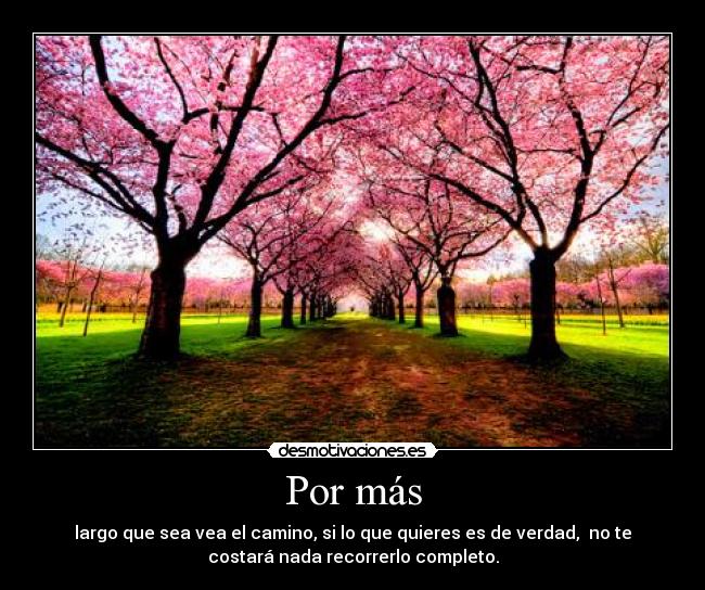 Por más - largo que sea vea el camino, si lo que quieres es de verdad,  no te
costará nada recorrerlo completo.