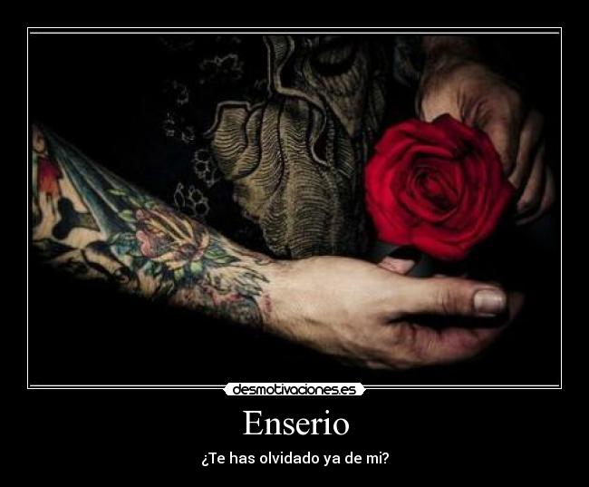 Enserio - ¿Te has olvidado ya de mi?