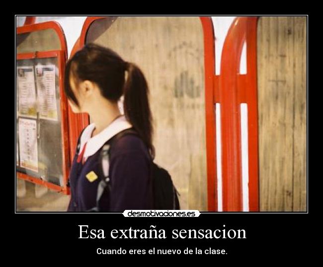 Esa extraña sensacion - Cuando eres el nuevo de la clase.