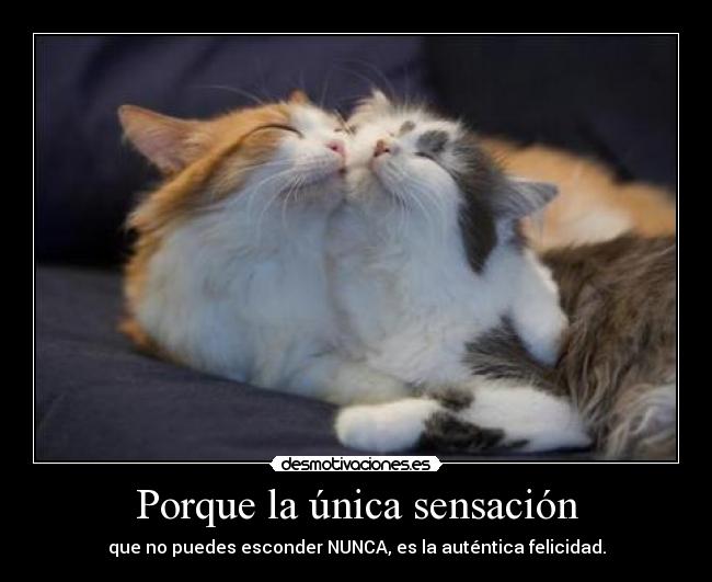 carteles awwww desmotivaciones