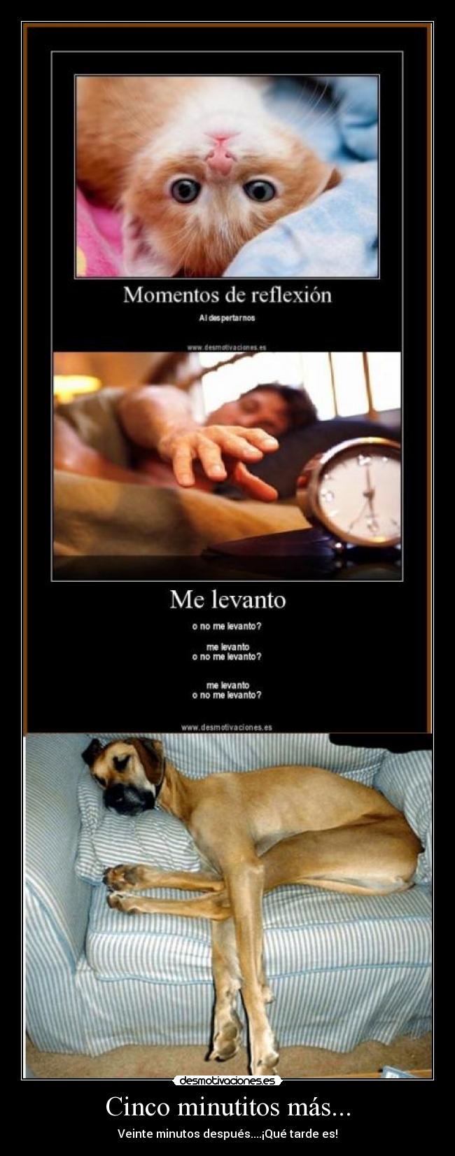 Cinco minutitos más... -