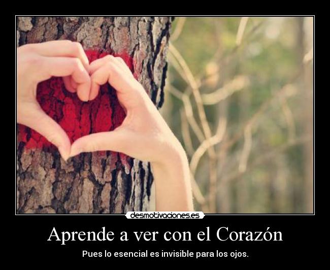 Aprende a ver con el Corazón - 