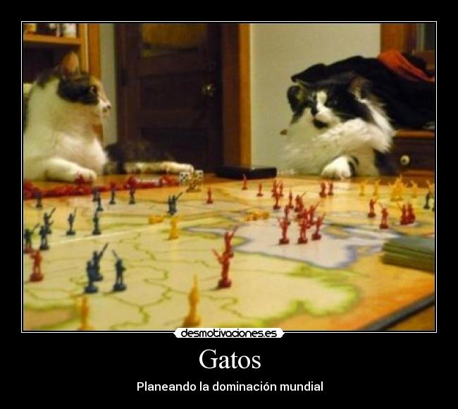 Gatos - Planeando la dominación mundial