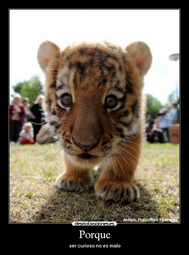 carteles porque desmotivaciones