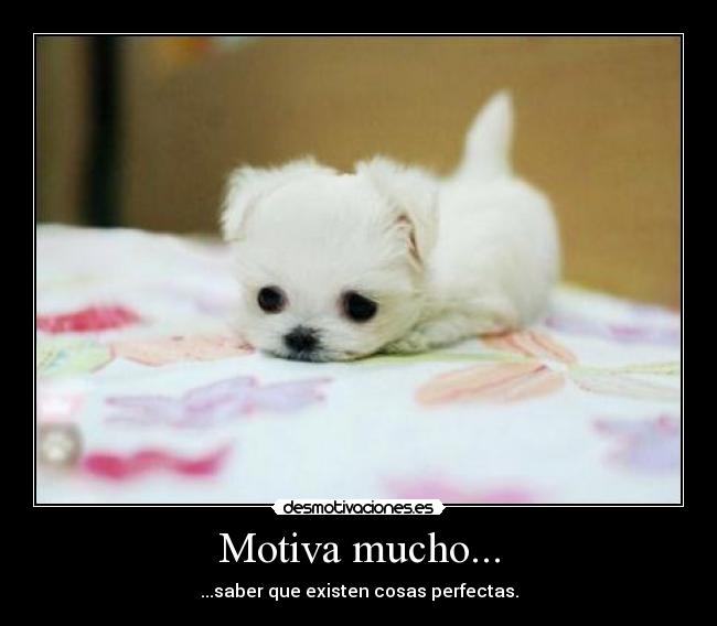 Motiva mucho... - ...saber que existen cosas perfectas.