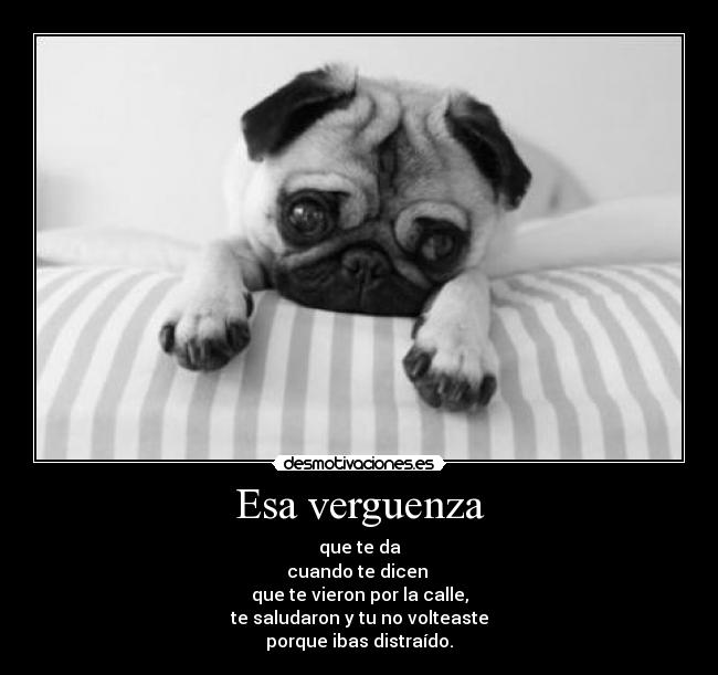 Esa verguenza -