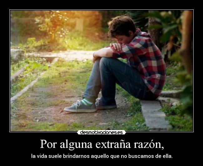 Por alguna extraña razón, - la vida suele brindarnos aquello que no buscamos de ella.