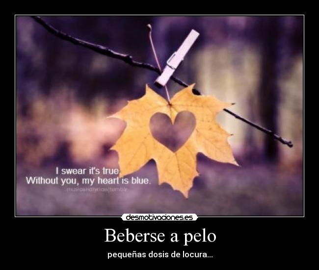 Beberse a pelo - pequeñas dosis de locura...