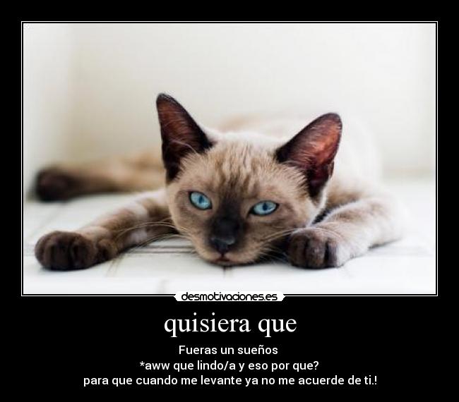quisiera que - Fueras un sueños
*aww que lindo/a y eso por que?
para que cuando me levante ya no me acuerde de ti.!