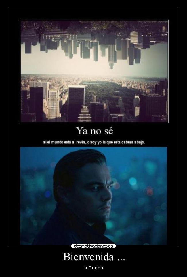 carteles origen leonardo dicaprio desmotivaciones