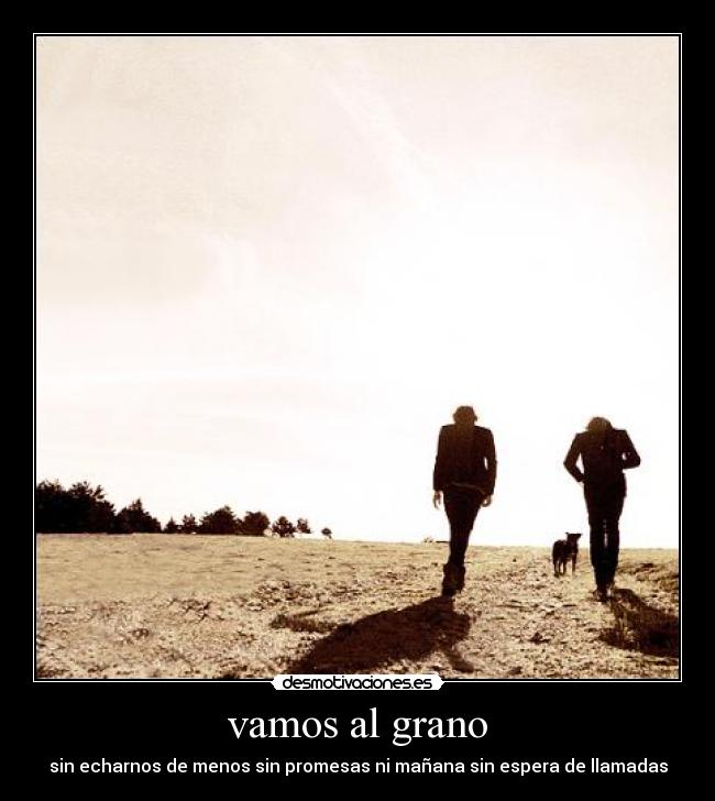 vamos al grano - 
