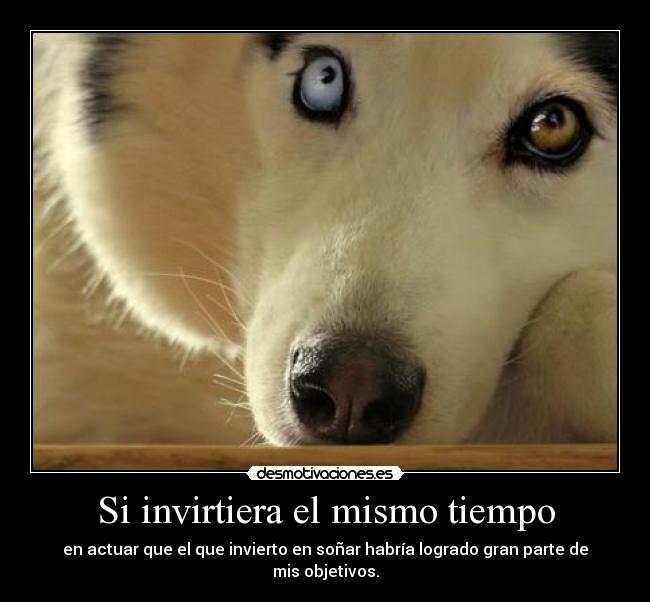 Si invirtiera el mismo tiempo - en actuar que el que invierto en soñar habría logrado gran parte de mis objetivos.