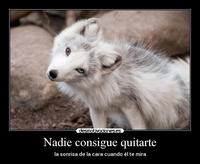 Nadie consigue quitarte - la sonrisa de la cara cuando él te mira