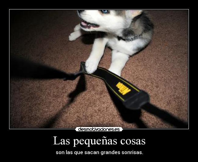 Las pequeñas cosas - son las que sacan grandes sonrisas.