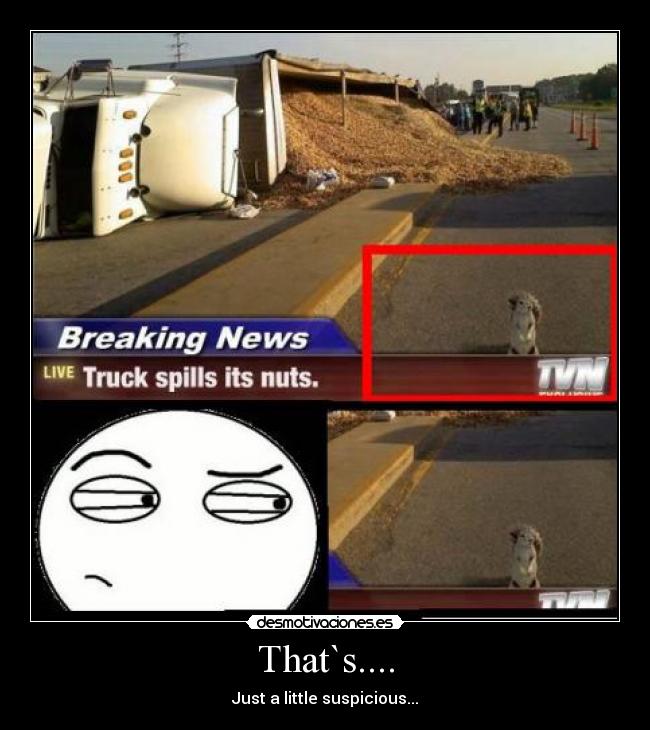 That`s.... - Just a little suspicious...