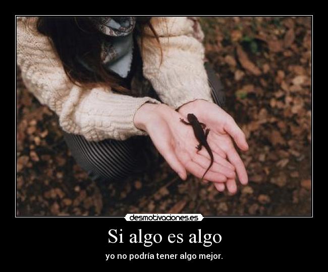 carteles mycrazyandstupidworld las locas aventuras platano idaira compania jaaaaaaaaaaajajajajjajajajja desmotivaciones