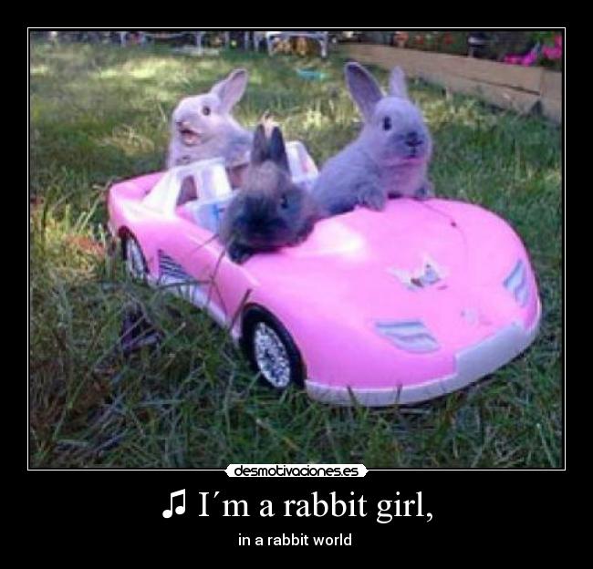 ♫ I´m a rabbit girl, - in a rabbit world ♫