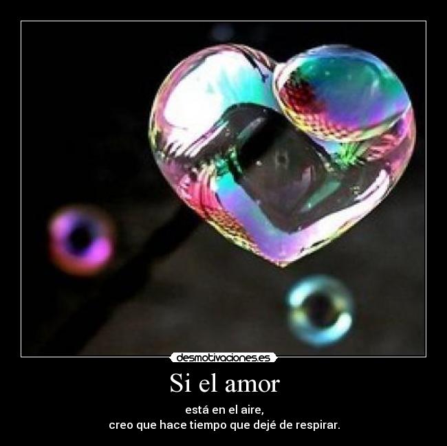 Si el amor - 