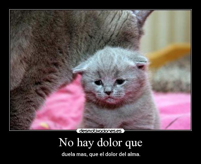 No hay dolor que -