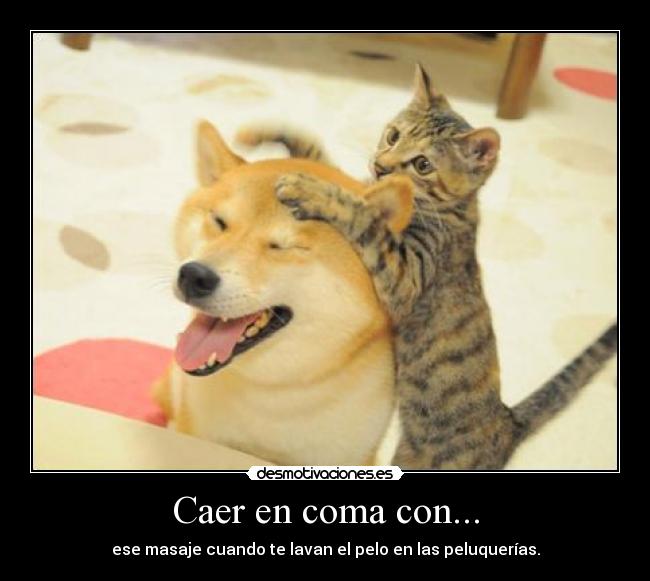 Caer en coma con... - ese masaje cuando te lavan el pelo en las peluquerías.