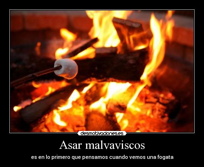 Asar malvaviscos - es en lo primero que pensamos cuando vemos una fogata