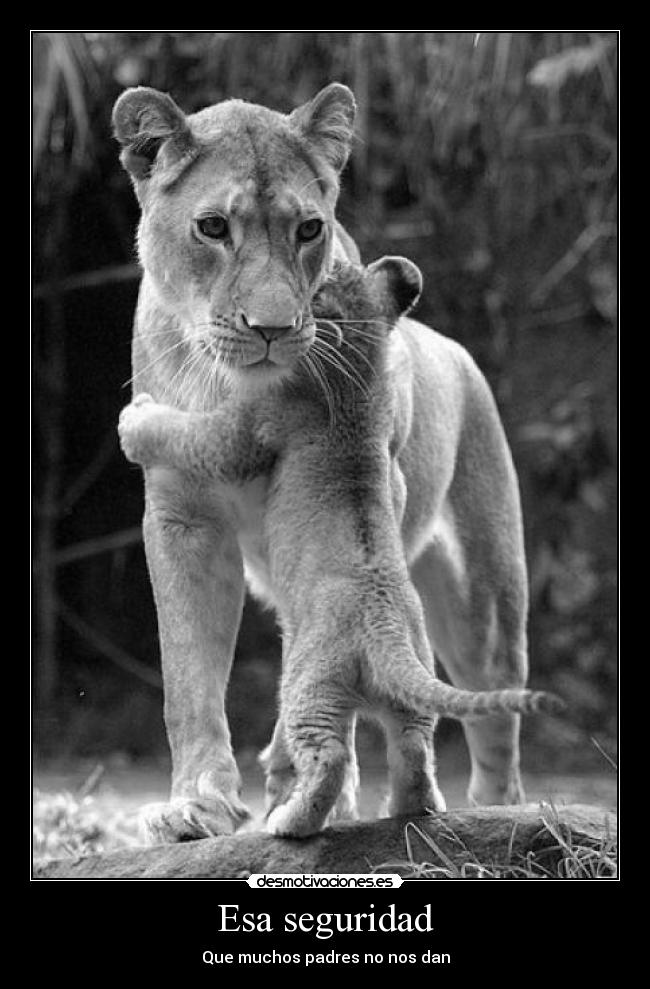 Esa seguridad - Que muchos padres no nos dan