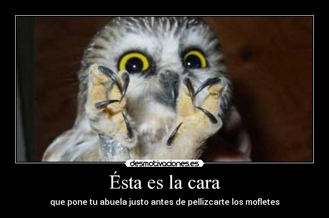 carteles mofletes desmotivaciones