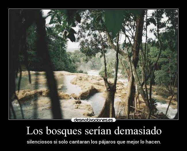 Los bosques serían demasiado - 