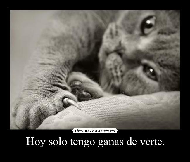 Hoy solo tengo ganas de verte. -
