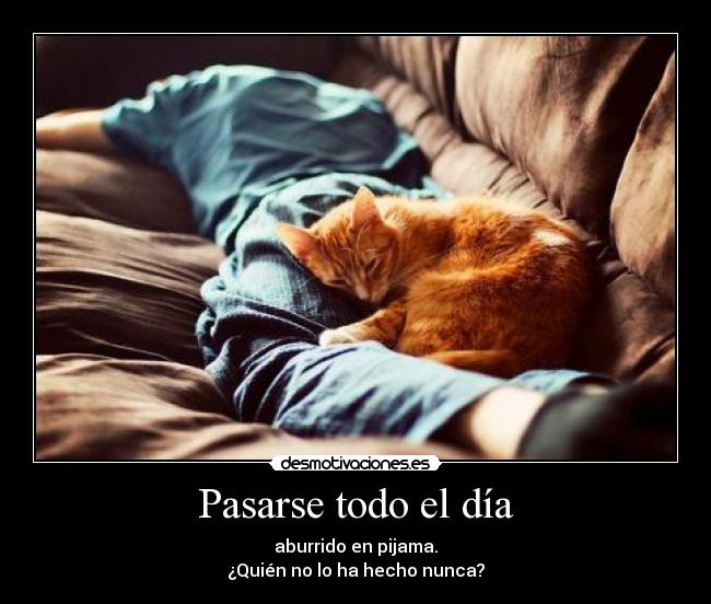 Pasarse todo el día -