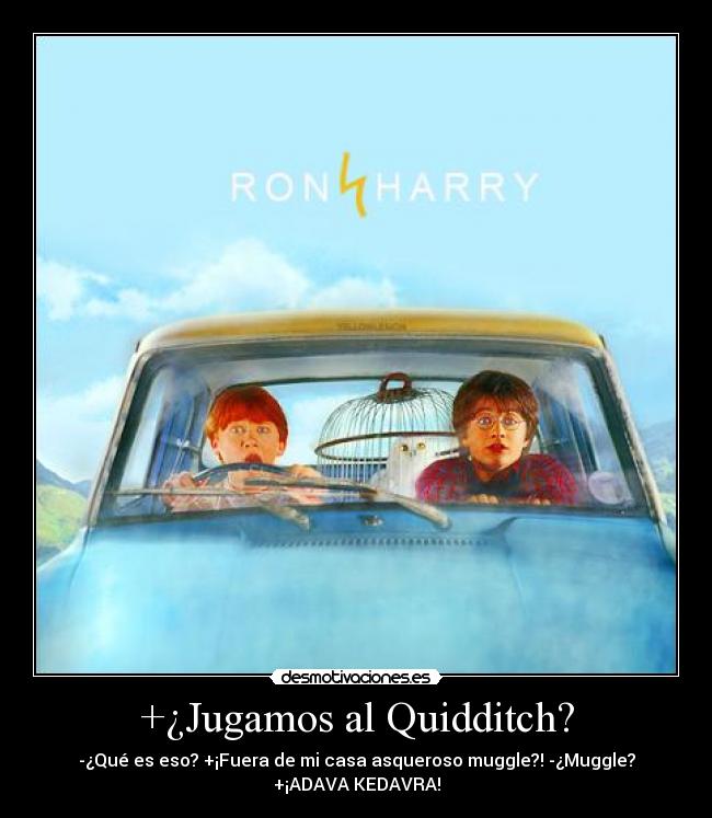 +¿Jugamos al Quidditch? -