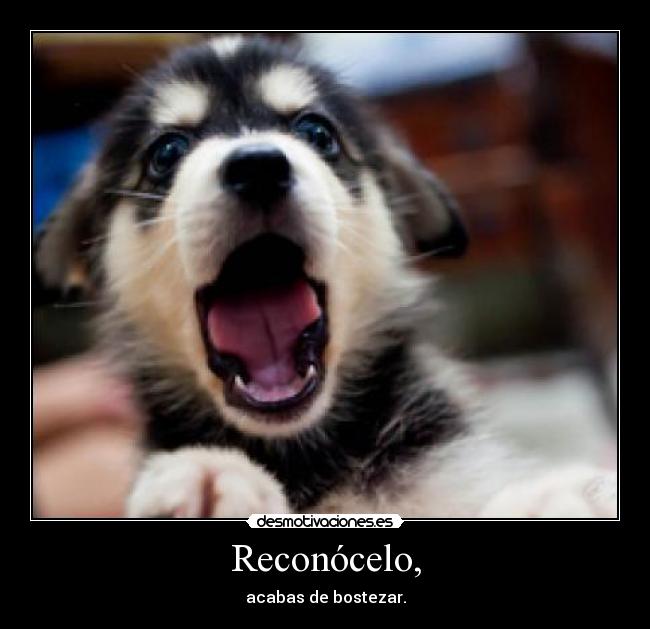 Reconócelo, - acabas de bostezar.