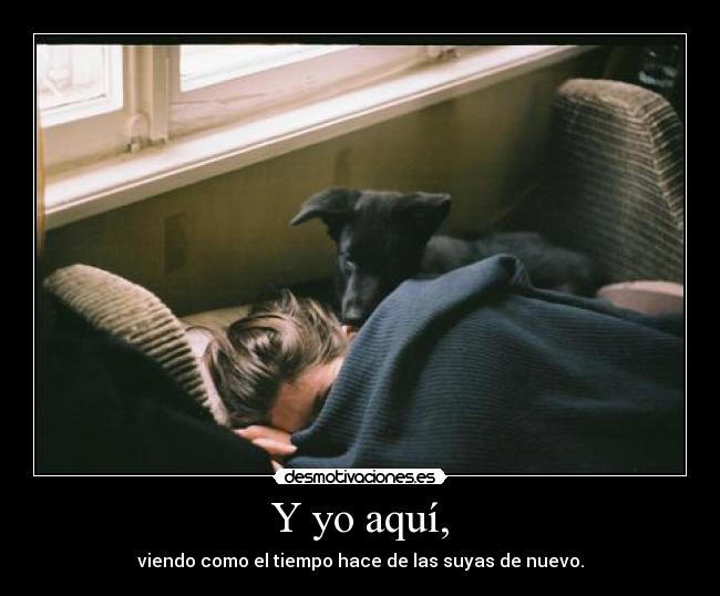 carteles bulma272 ingenua tonta elclanviral shut desmotivaciones