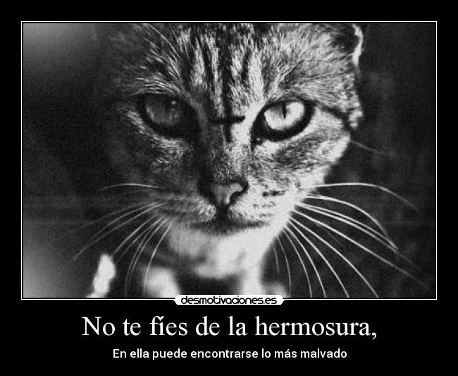 No te fíes de la hermosura, -