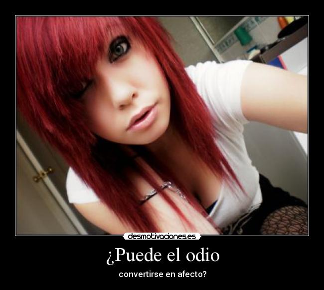 ¿Puede el odio - 