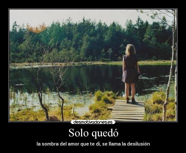 Solo quedó - la sombra del amor que te di, se llama la desilusión